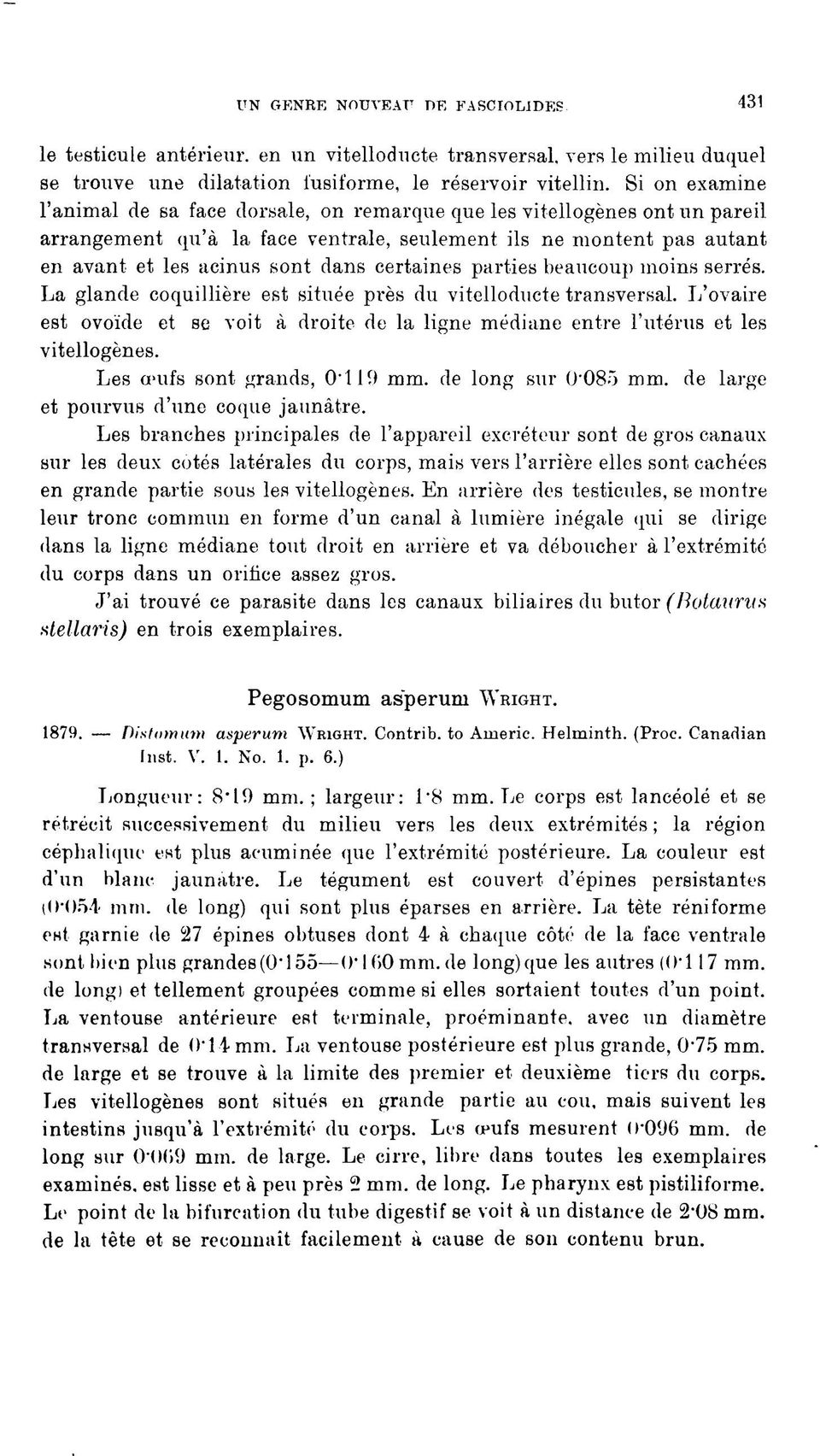 certaines parties beaucoup moins serrés. La glande coquillière est située pi'ès du vitelloducte transversal.