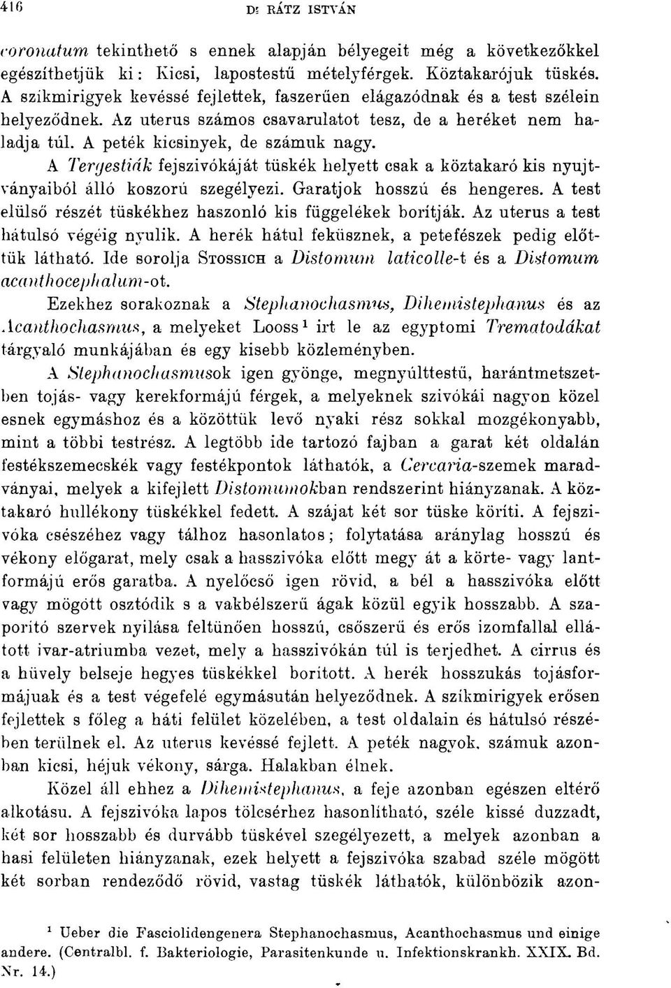 A Tergestidk fejszivókáját tüskék helyett csak a köztakaró kis nyujtványaiból álló koszorú szegélyezi. Garatjok hosszú és hengeres. A test elülső részét tüskékhez haszonló kis függelékek borítják.