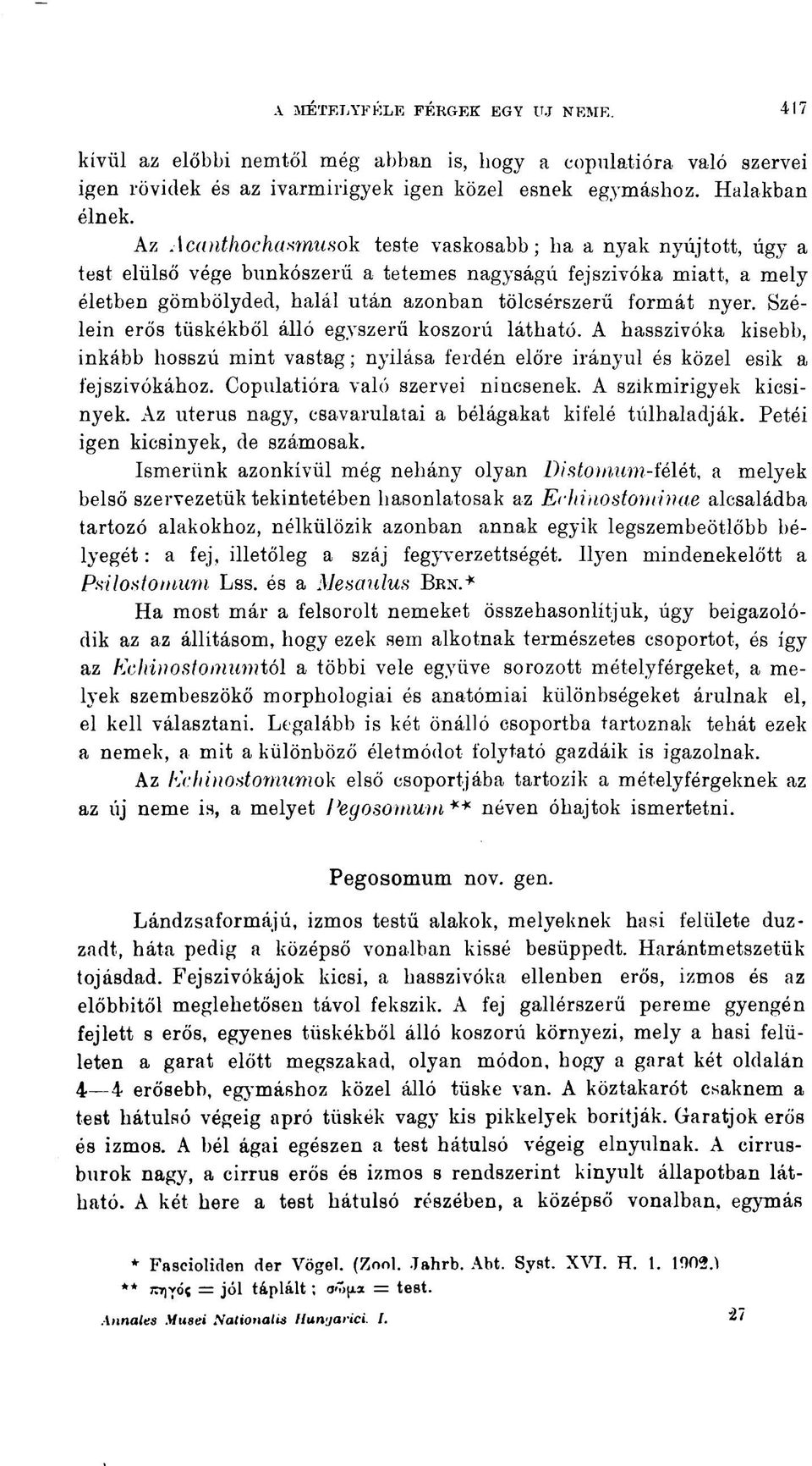 Szélein erős tüskékből álló egyszerű koszorú látható. A hasszivóka kisebb, inkább hosszú mint vastag ; nyilása ferdén előre irányul és közel esik a fejszivókához. Copulatióra való szervei nincsenek.