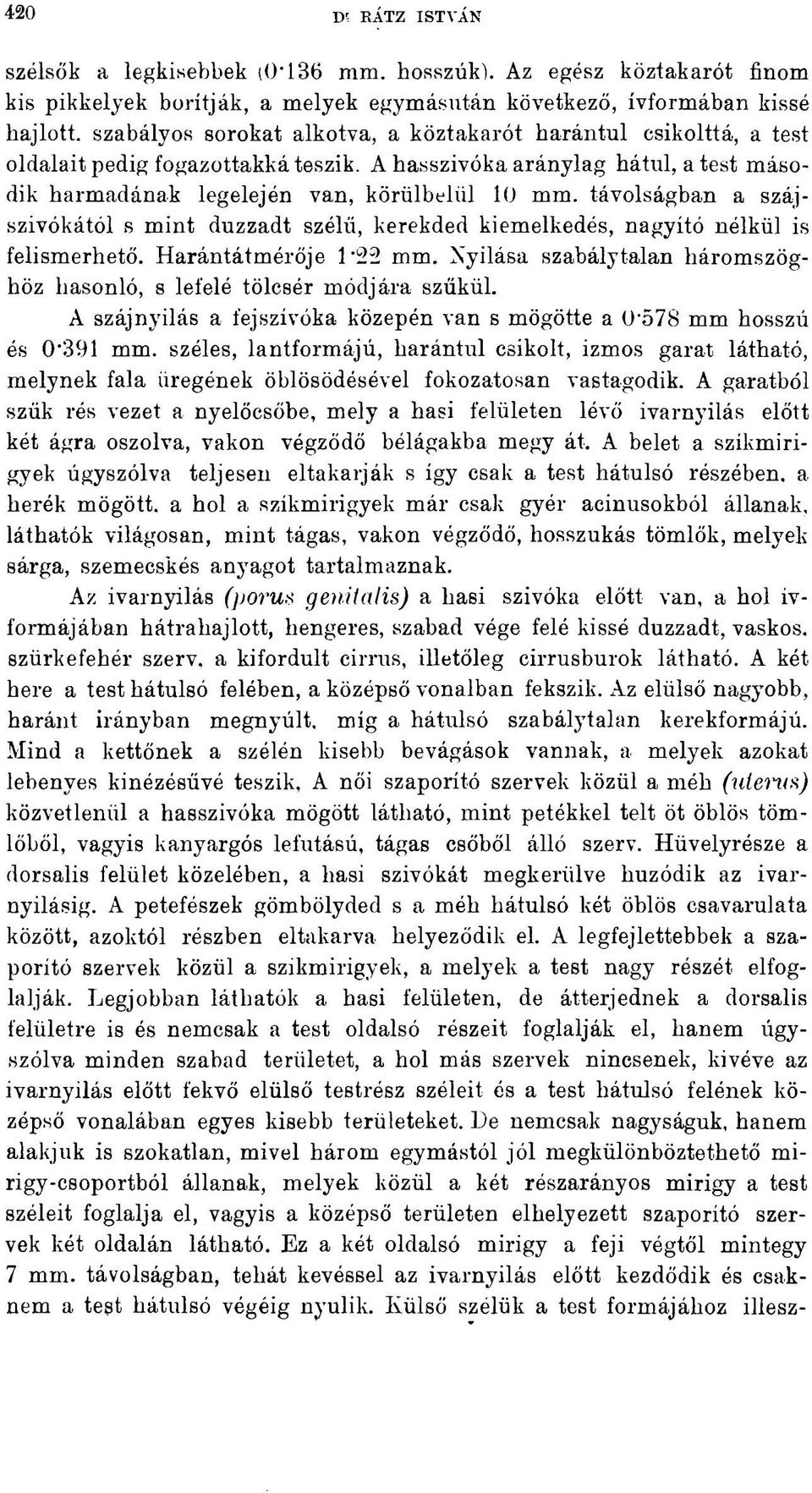 fogazottakká teszik. A hasszivóka aránylag hátul, a test második harmadának legelején van, körülbelül 10 mm.