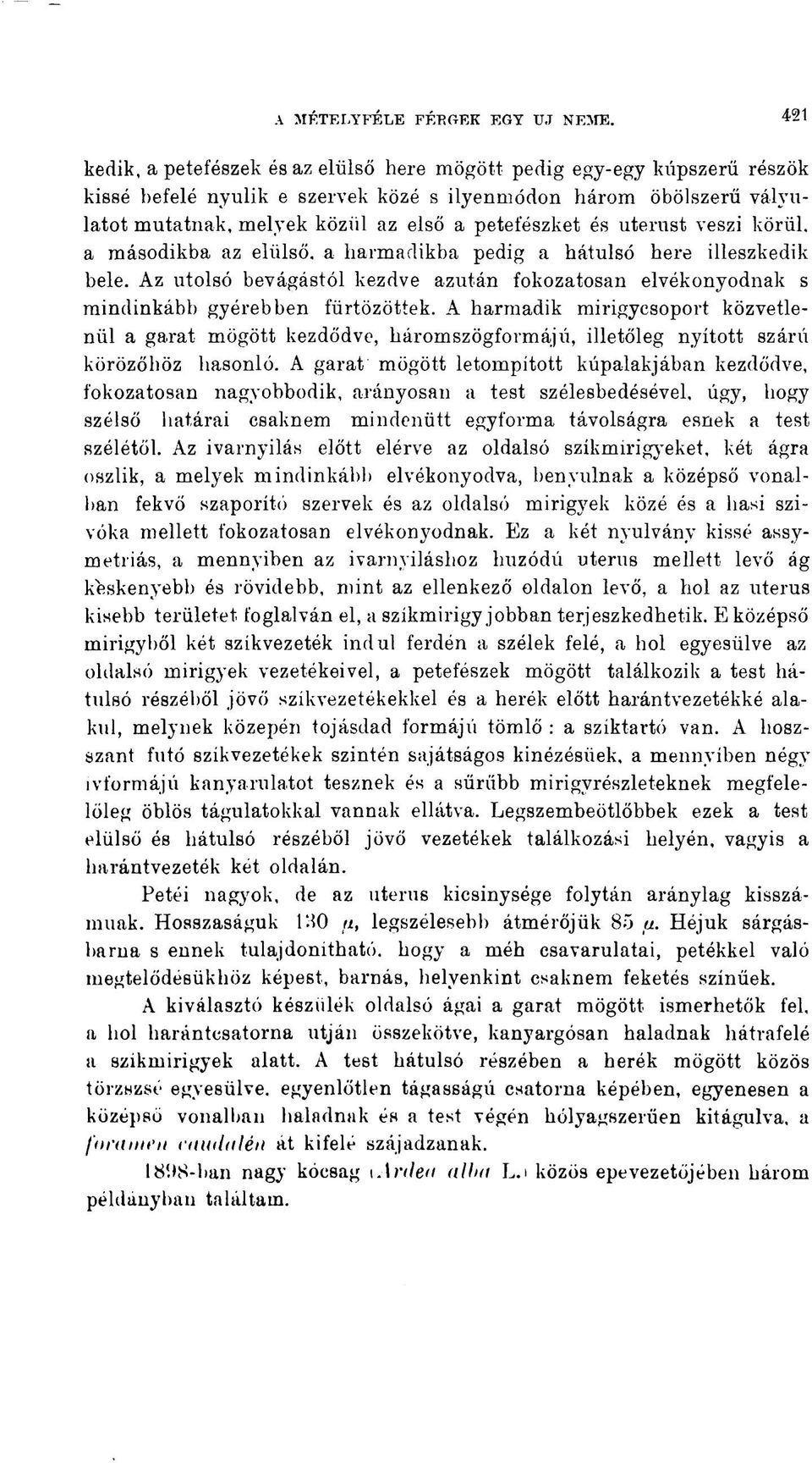 petefészket és uterust veszi körül, a másodikba az elülső, a harmadikba pedig a hátulsó here illeszkedik bele.
