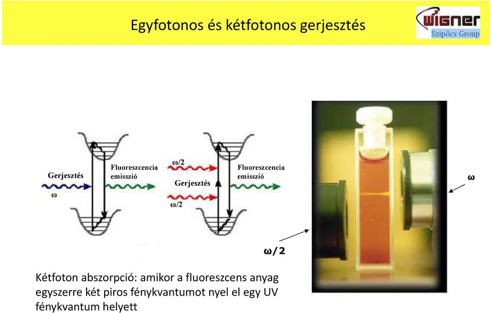 emisszió ω ω/2 Kétfoton abszorpció: amikor a fluoreszcens
