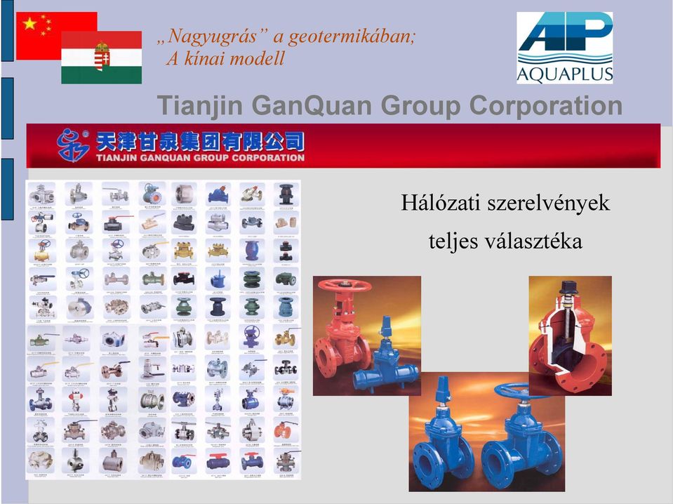 Hálózati