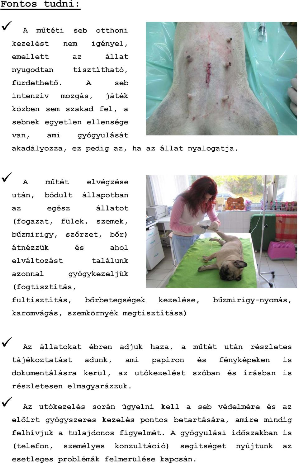 A műtét elvégzése után, bódult állapotban az egész állatot (fogazat, fülek, szemek, bűzmirigy, szőrzet, bőr) átnézzük és ahol elváltozást azonnal találunk gyógykezeljük (fogtisztítás, fültisztítás,