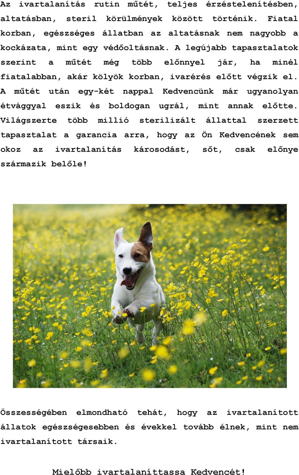 A legújabb tapasztalatok szerint a műtét még több előnnyel jár, ha minél fiatalabban, akár kölyök korban, ivarérés előtt végzik el.