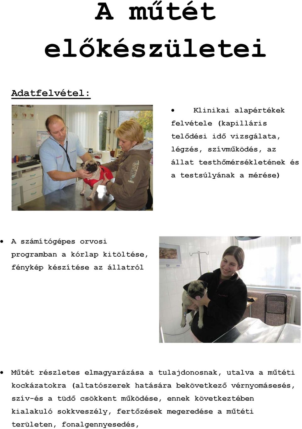 állatról Műtét részletes elmagyarázása a tulajdonosnak, utalva a műtéti kockázatokra (altatószerek hatására bekövetkező