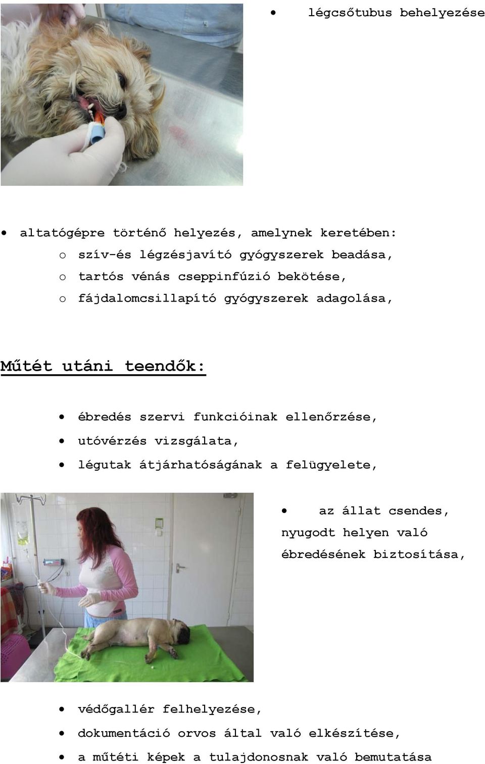funkcióinak ellenőrzése, utóvérzés vizsgálata, légutak átjárhatóságának a felügyelete, az állat csendes, nyugodt helyen való
