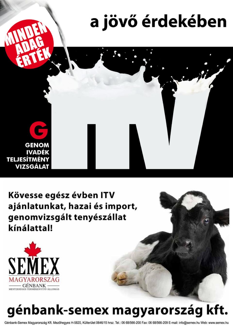 Magazin