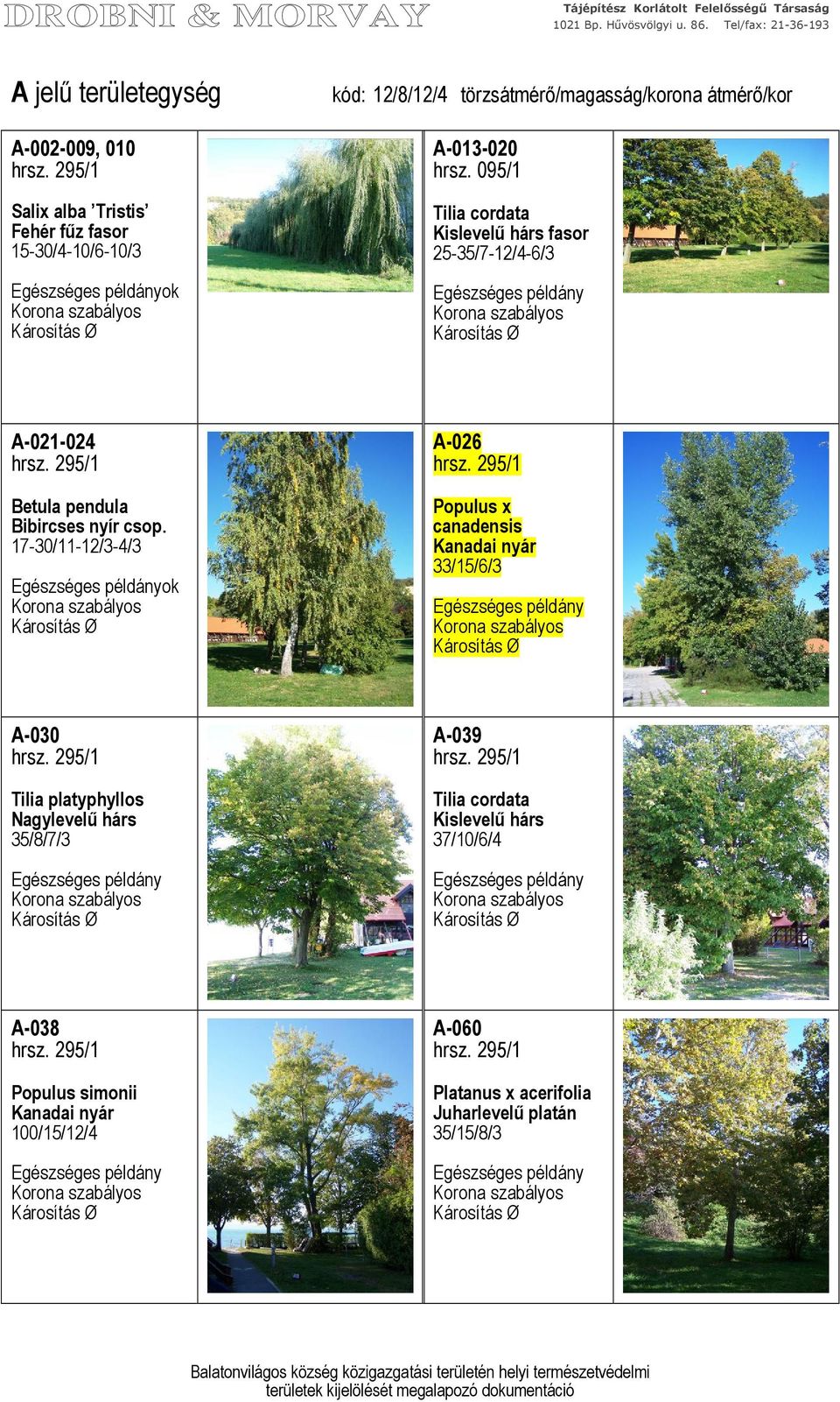 17-30/11-12/3-4/3 ok A-026 Populus x canadensis Kanadai nyár 33/15/6/3 A-030 35/8/7/3 A-039 Tilia cordata