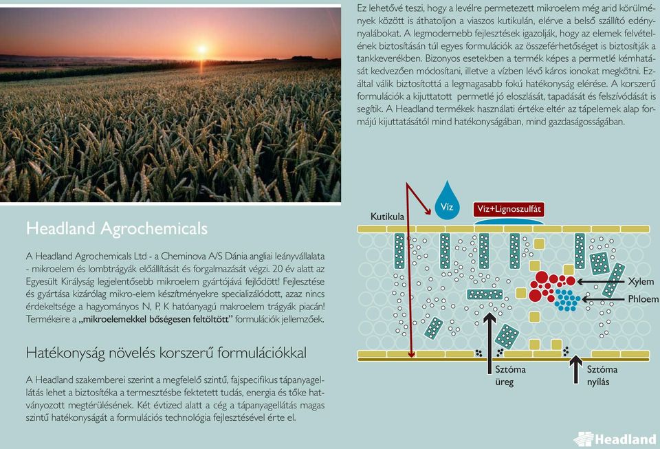 Bizonyos esetekben a termék képes a permetlé kémhatását kedvezően módosítani, illetve a vízben lévő káros ionokat megkötni. Ezáltal válik biztosítottá a legmagasabb fokú hatékonyság elérése.