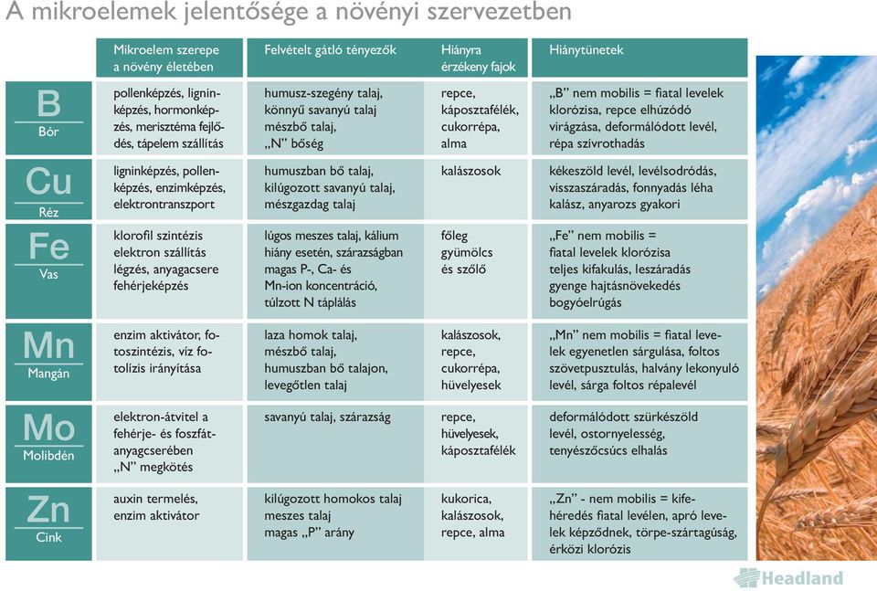 talaj mészbő talaj, N bőség humuszban bő talaj, kilúgozott savanyú talaj, mészgazdag talaj lúgos meszes talaj, kálium hiány esetén, szárazságban magas P-, Ca- és Mn-ion koncentráció, túlzott N