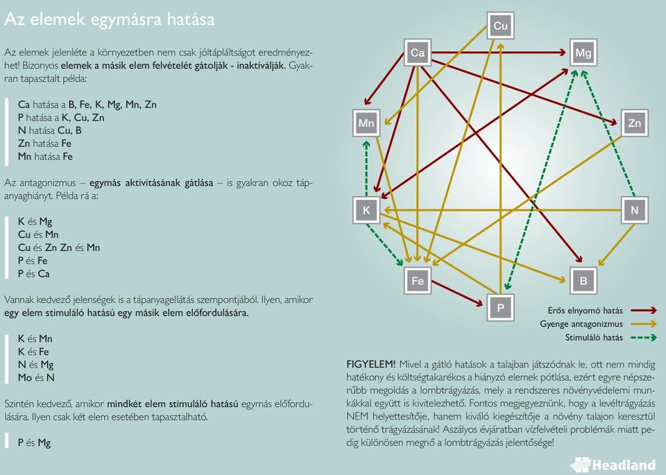 tápanyaghiányt. Példa rá a: K és Mg Cu és Mn Cu és Zn Zn és Mn P és Fe P és Ca Vannak kedvező jelenségek is a tápanyagellátás szempontjából.