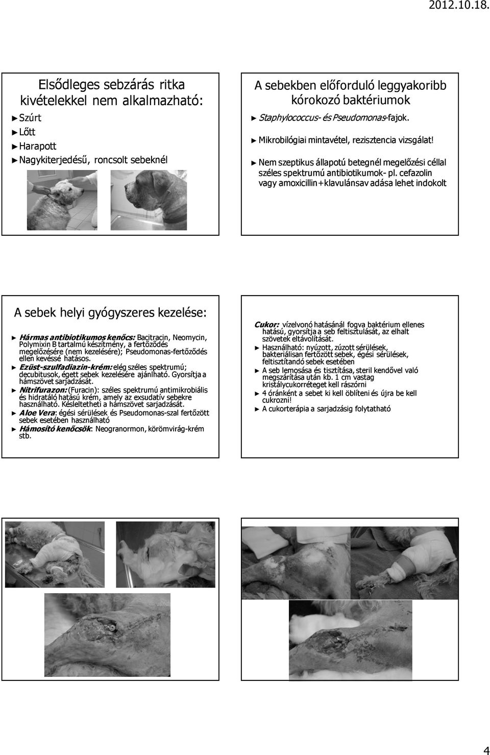 cefazolin vagy amoxicillin+klavulánsav adása lehet indokolt A sebek helyi gyógyszeres kezelése: Hármas antibiotikumos kenıcs: Bacitracin, Neomycin, Polymixin B tartalmú készítmény, a fertızıdés