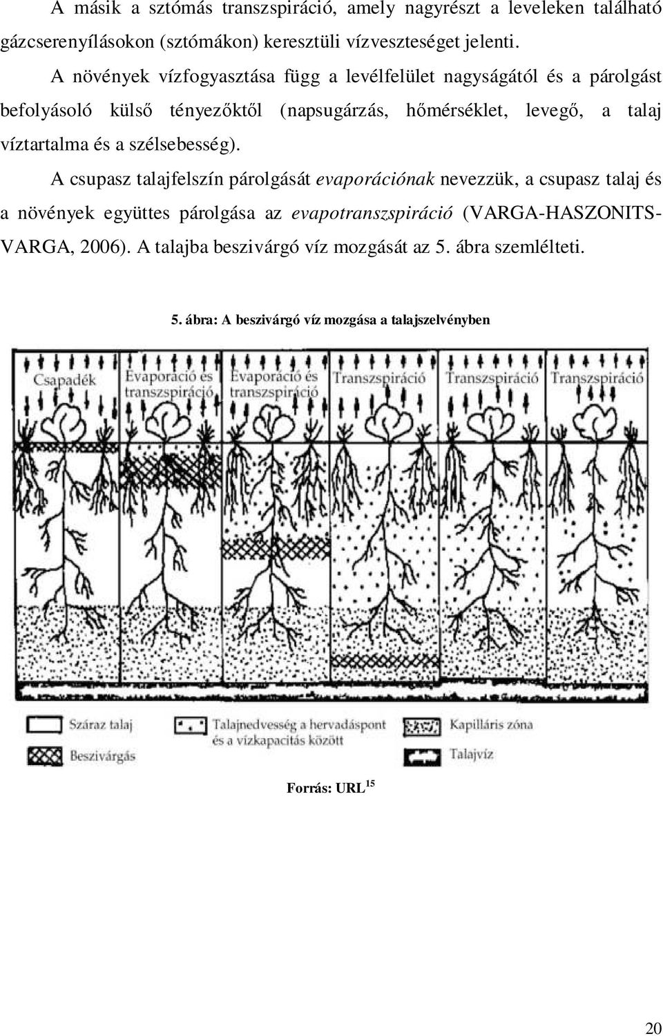 víztartalma és a szélsebesség).