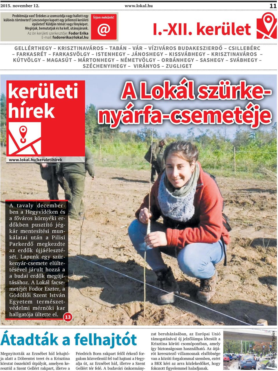 kerület GELLÉRTHEGY KRISZTINAVÁROS TABÁN VÁR VÍZIVÁROS BUDAKESZIERDŐ CSILLEBÉRC FARKASRÉT FARKASVÖLGY ISTENHEGY JÁNOSHEGY KISSVÁBHEGY KRISZTINAVÁROS KÚTVÖLGY MAGASÚT MÁRTONHEGY NÉMETVÖLGY ORBÁNHEGY