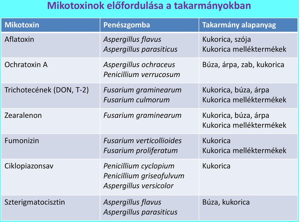 Kukorica melléktermékek Zearalenon Fusarium graminearum Kukorica, búza, árpa Kukorica melléktermékek Fumonizin Ciklopiazonsav Szterigmatocisztin Fusarium verticollioides