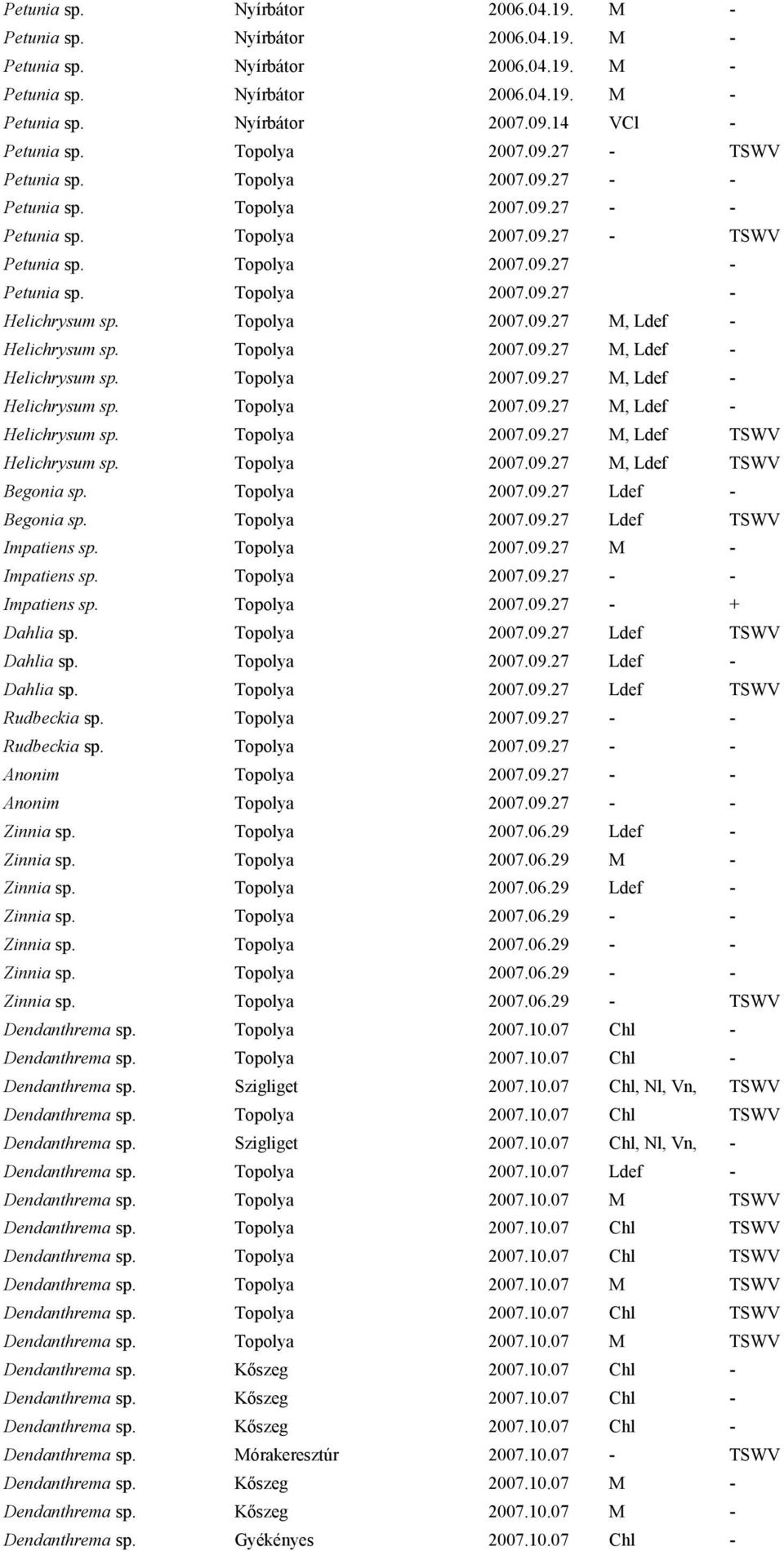 Topolya 2007.09.27 - Helichrysum sp. Topolya 2007.09.27 M, Ldef - Helichrysum sp. Topolya 2007.09.27 M, Ldef - Helichrysum sp. Topolya 2007.09.27 M, Ldef - Helichrysum sp. Topolya 2007.09.27 M, Ldef - Helichrysum sp. Topolya 2007.09.27 M, Ldef TSWV Helichrysum sp.