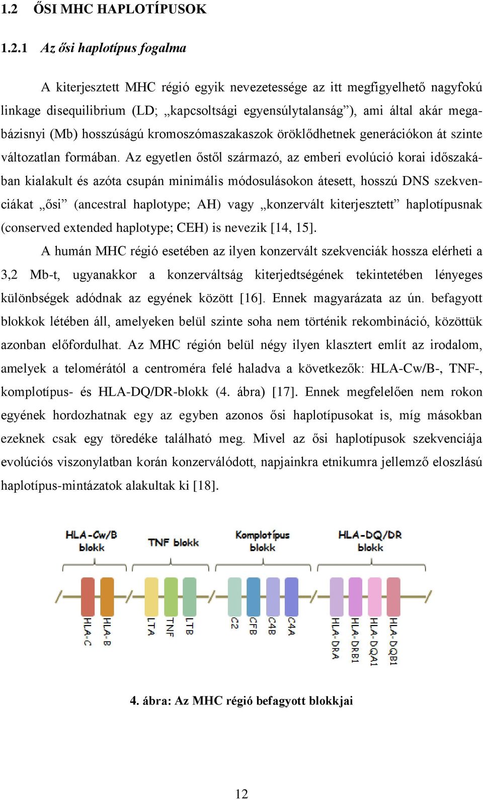 Az egyetlen őstől származó, az emberi evolúció korai időszakában kialakult és azóta csupán minimális módosulásokon átesett, hosszú DNS szekvenciákat ősi (ancestral haplotype; AH) vagy konzervált