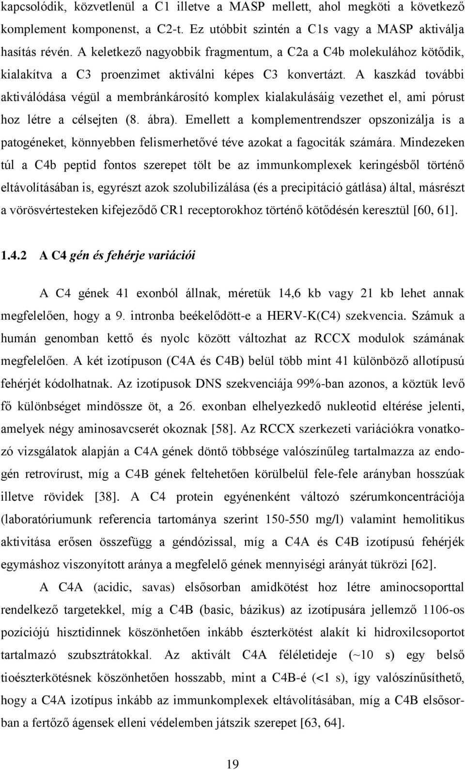 A kaszkád további aktiválódása végül a membránkárosító komplex kialakulásáig vezethet el, ami pórust hoz létre a célsejten (8. ábra).