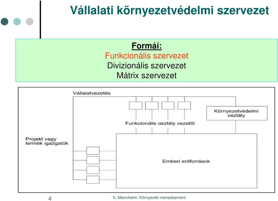 Funkcionális szervezet