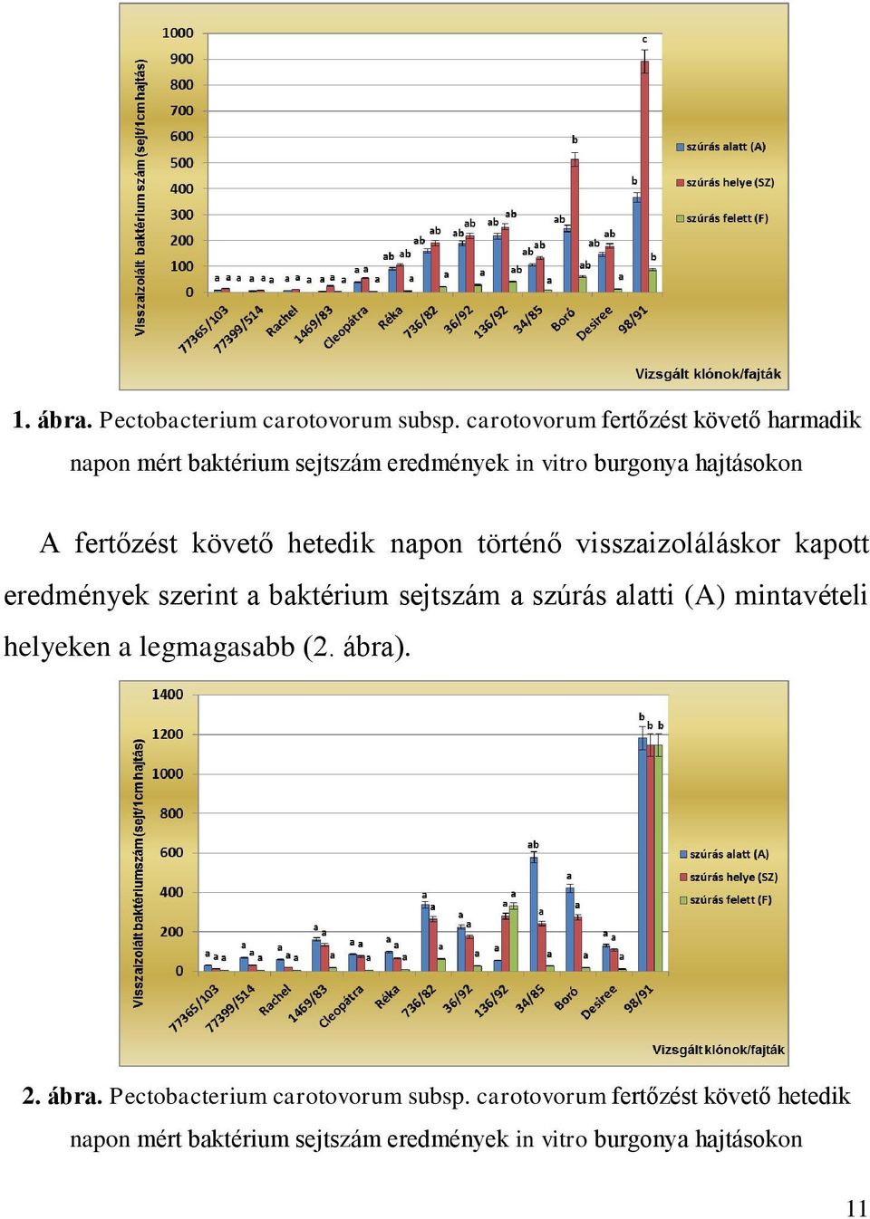 fertőzést követő hetedik napon történő visszaizoláláskor kapott eredmények szerint a baktérium sejtszám a szúrás