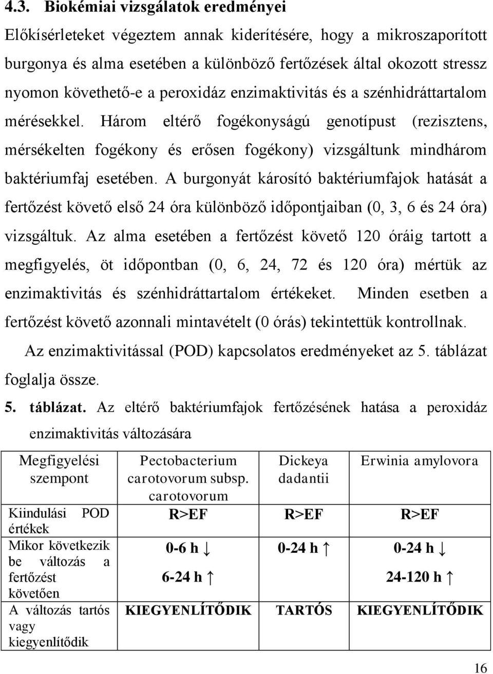 A burgonyát károsító baktériumfajok hatását a fertőzést követő első 24 óra különböző időpontjaiban (0, 3, 6 és 24 óra) vizsgáltuk.