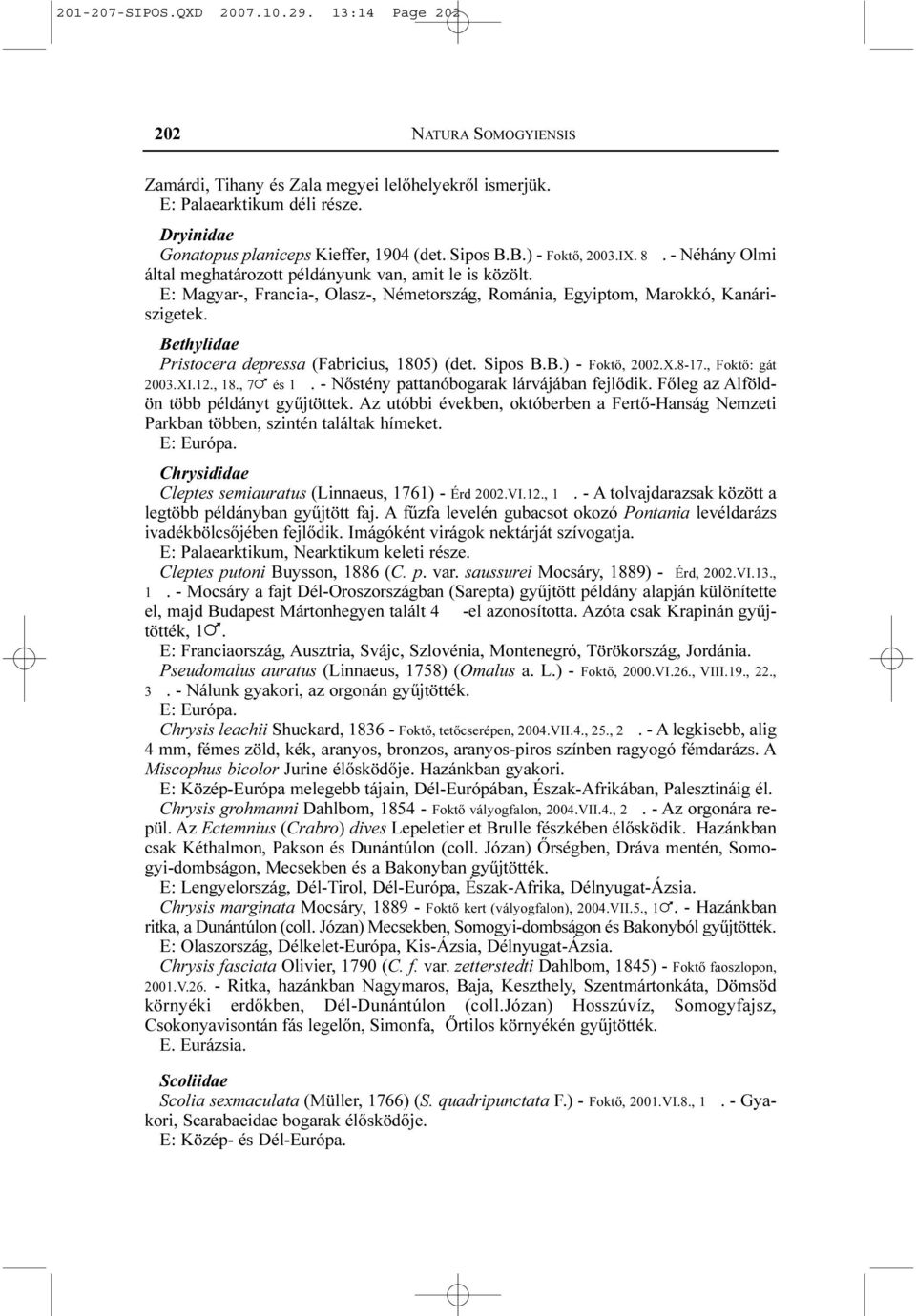 E: Magyar-, Francia-, Olasz-, Németország, Románia, Egyiptom, Marokkó, Kanáriszigetek. Bethylidae Pristocera depressa (Fabricius, 1805) (det. Sipos B.B.) - Foktõ, 2002.X.8-17., Foktõ: gát 2003.XI.12.