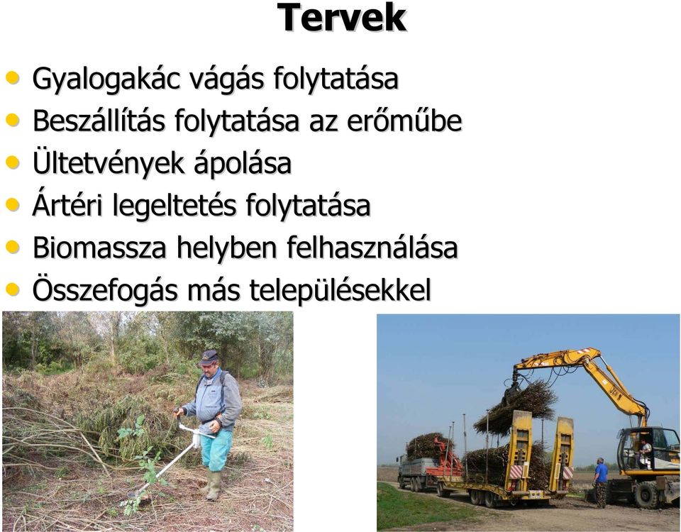 Ártéri ri legeltetés s folytatása Biomassza