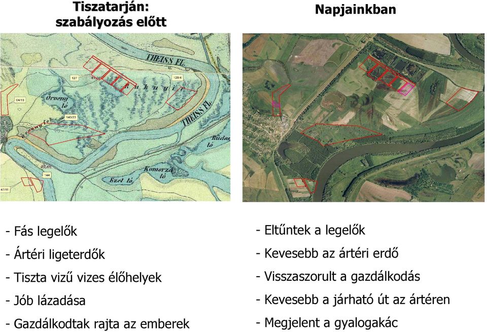 rajta az emberek -Eltűntek a legelők - Kevesebb az ártéri erdő -