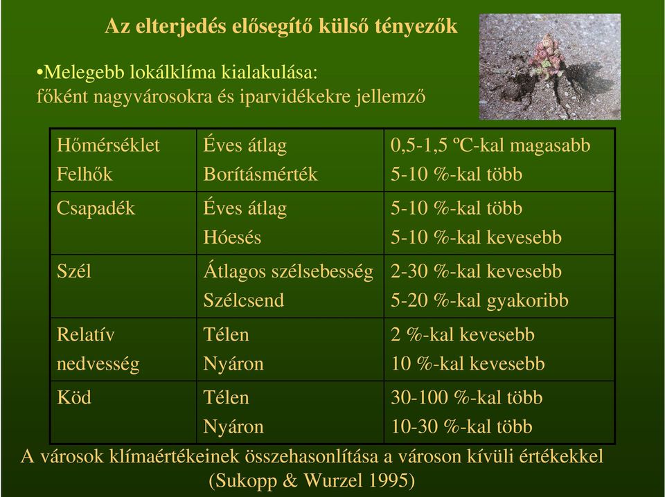 magasabb 5-10 %-kal több 5-10 %-kal több 5-10 %-kal kevesebb 2-30 %-kal kevesebb 5-20 %-kal gyakoribb 2 %-kal kevesebb 10 %-kal kevesebb
