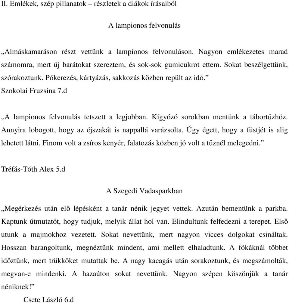 Szokolai Fruzsina 7.d A lampionos felvonulás tetszett a legjobban. Kígyózó sorokban mentünk a tábortűzhöz. Annyira lobogott, hogy az éjszakát is nappallá varázsolta.