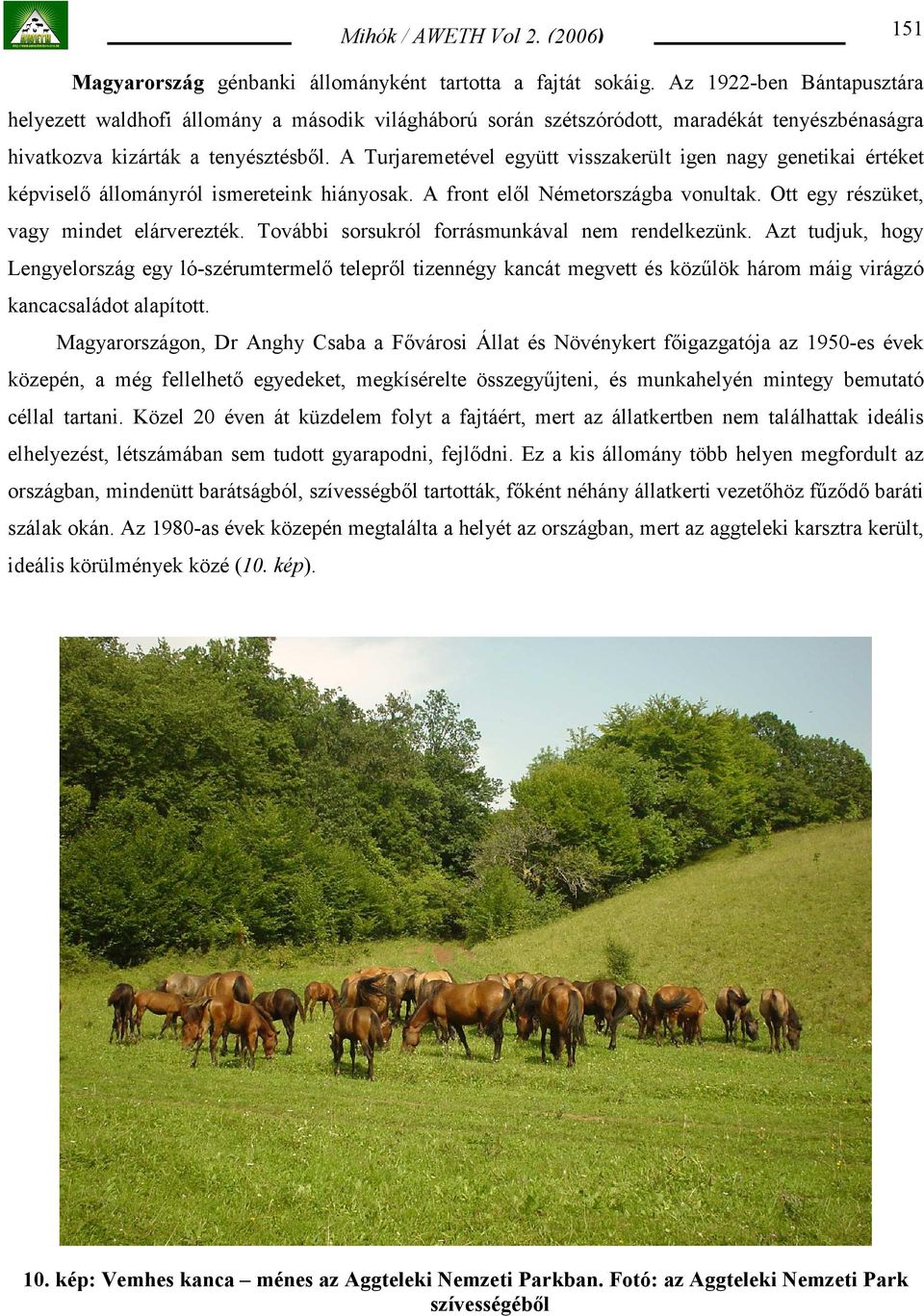 A Turjaremetével együtt visszakerült igen nagy genetikai értéket képviselő állományról ismereteink hiányosak. A front elől Németországba vonultak. Ott egy részüket, vagy mindet elárverezték.