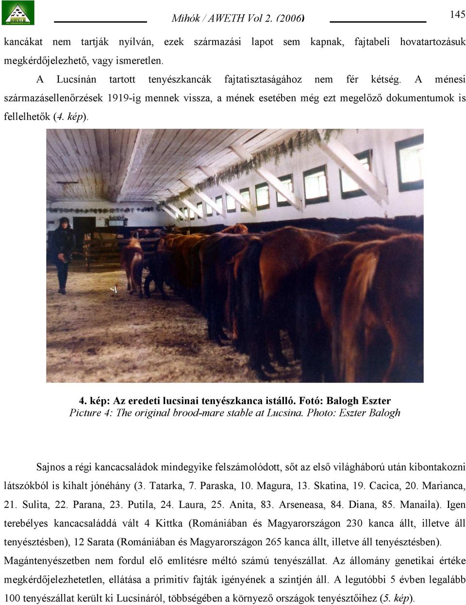 Fotó: Balogh Eszter Picture 4: The original brood-mare stable at Lucsina.
