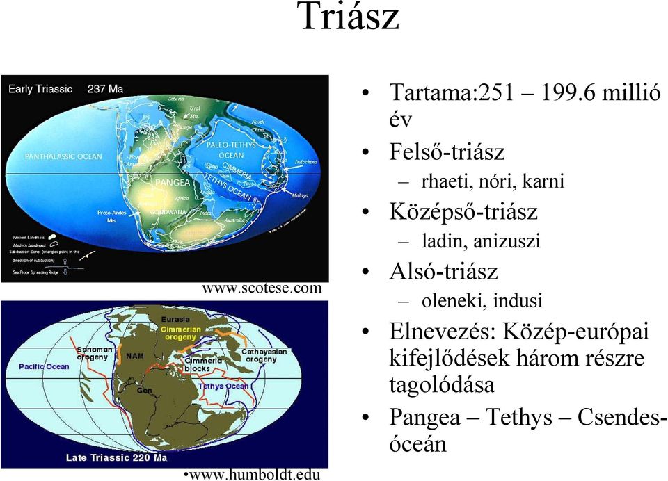 ladin, anizuszi Alsó-triász oleneki, indusi Elnevezés: