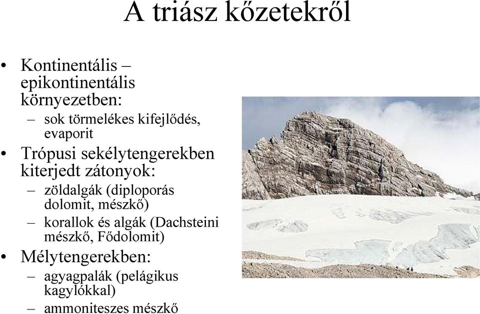 dolomit, mészkı) korallok és algák (Dachsteini mészkı, Fıdolomit)