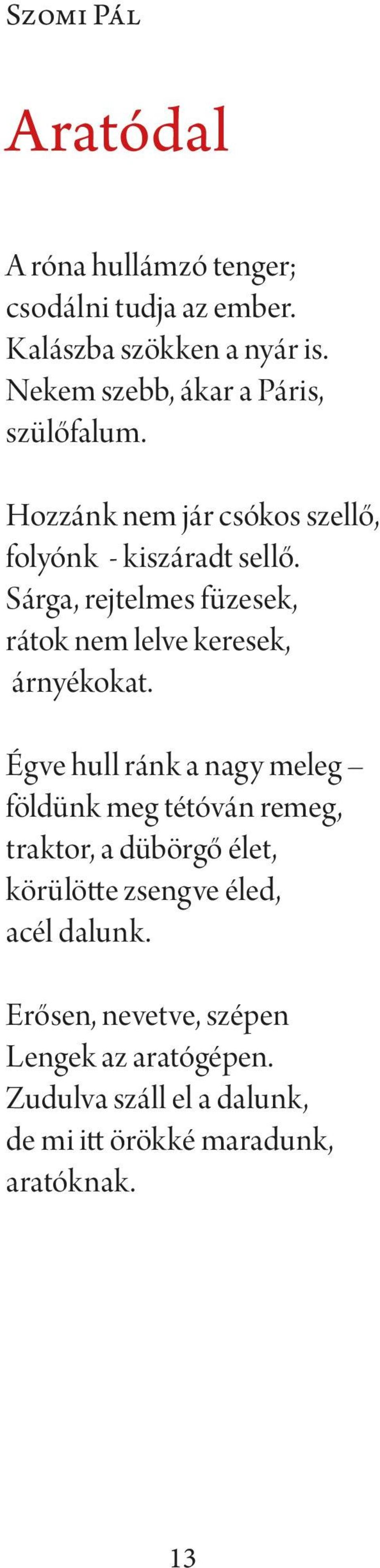 Sárga, rejtelmes füzesek, rátok nem lelve keresek, árnyékokat.