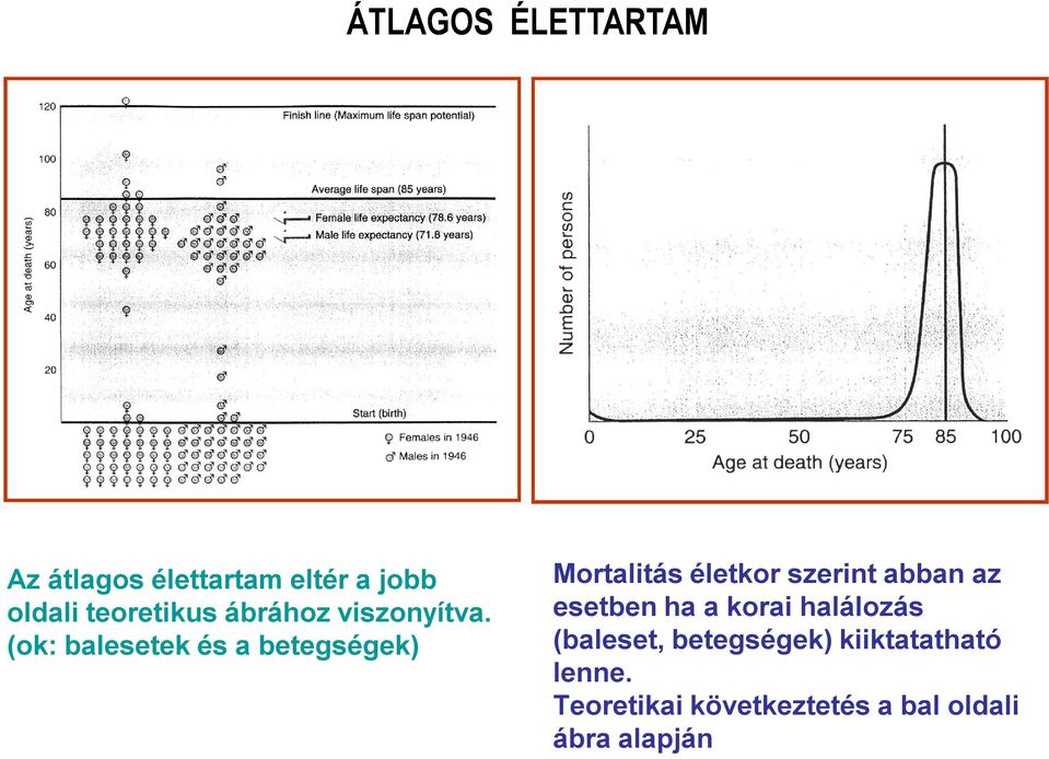 (ok: balesetek és a betegségek) Mortalitás életkor szerint abban az