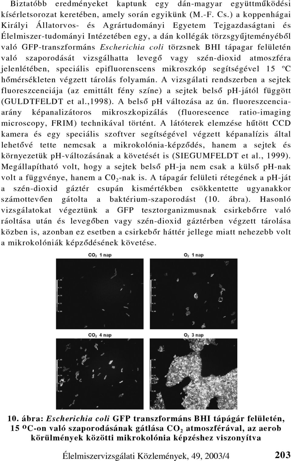 törzsnek BHI tápagar felületén való szaporodását vizsgálhatta levegõ vagy szén-dioxid atmoszféra jelenlétében, speciális epifluorenscens mikroszkóp segítségével 15 o C hõmérsékleten végzett tárolás