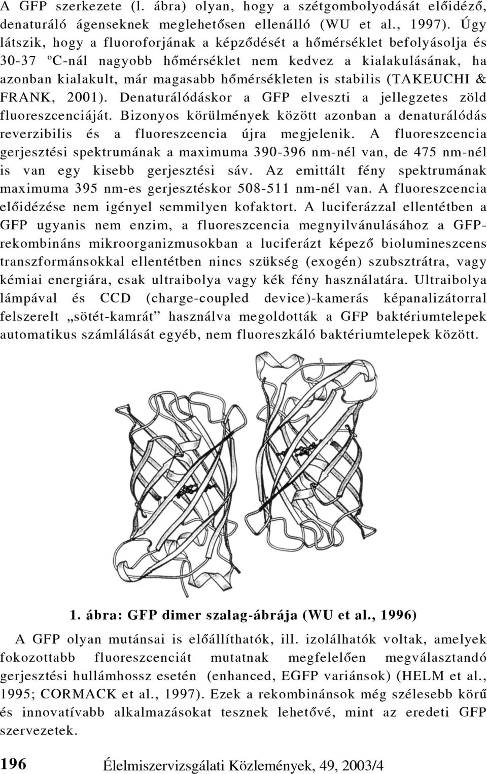stabilis (TAKEUCHI & FRANK, 2001). Denaturálódáskor a GFP elveszti a jellegzetes zöld fluoreszcenciáját.