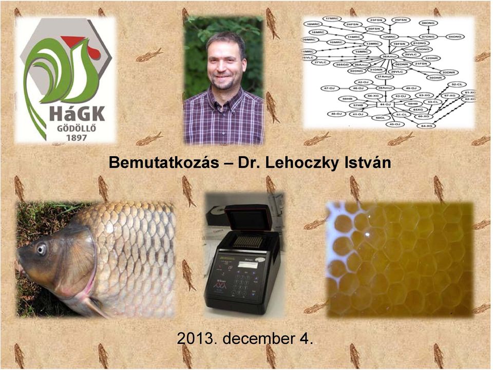 István 2013.