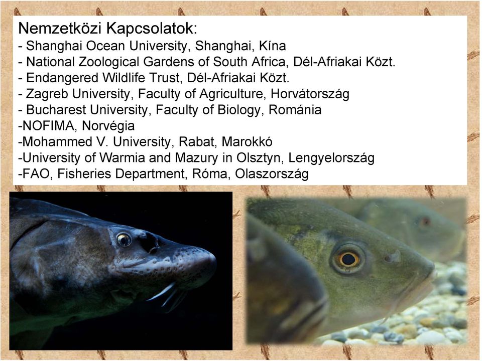 - Zagreb University, Faculty of Agriculture, Horvátország - Bucharest University, Faculty of Biology, Románia