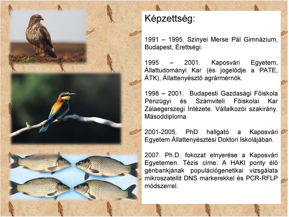Budapesti Gazdasági Főiskola Pénzügyi és Számviteli Főiskolai Kar Zalaegerszegi Intézete. Vállalkozói szakirány. Másoddiploma 2001-2005.