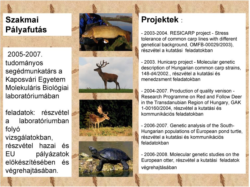 végrehajtásában. Projektek : - 2003-2004. RESICARP project - Stress tolerance of common carp lines with different genetical background, OMFB-00029/2003), részvétel a kutatási feladatokban - 2003.