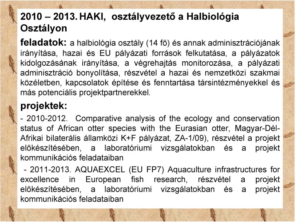 irányítása, a végrehajtás monitorozása, a pályázati adminisztráció bonyolítása, részvétel a hazai és nemzetközi szakmai közéletben, kapcsolatok építése és fenntartása társintézményekkel és más