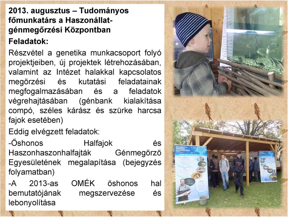végrehajtásában (génbank kialakítása compó, széles kárász és szürke harcsa fajok esetében) Eddig elvégzett feladatok: -Őshonos Halfajok és