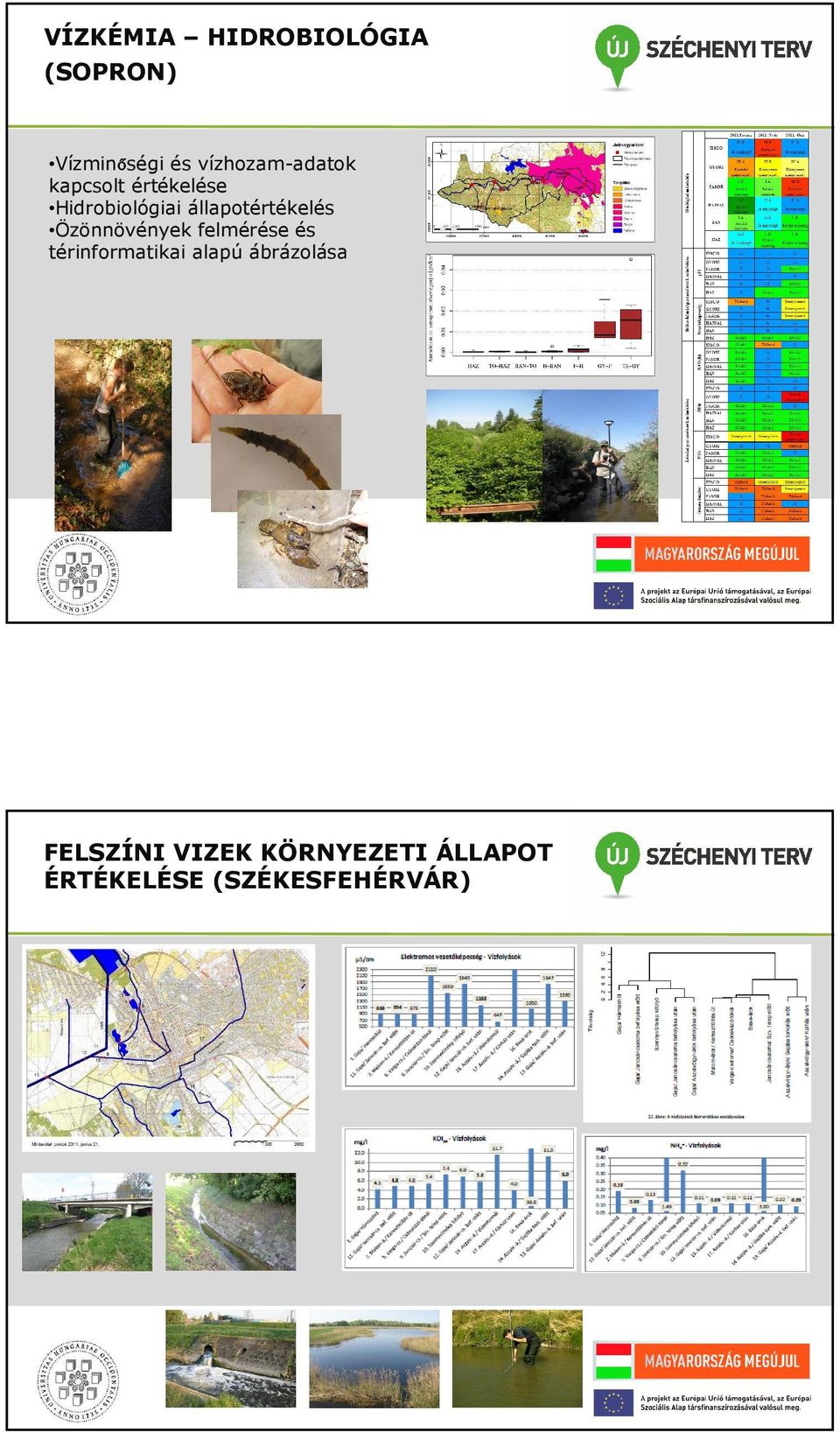 állapotértékelés Özönnövények felmérése és térinformatikai