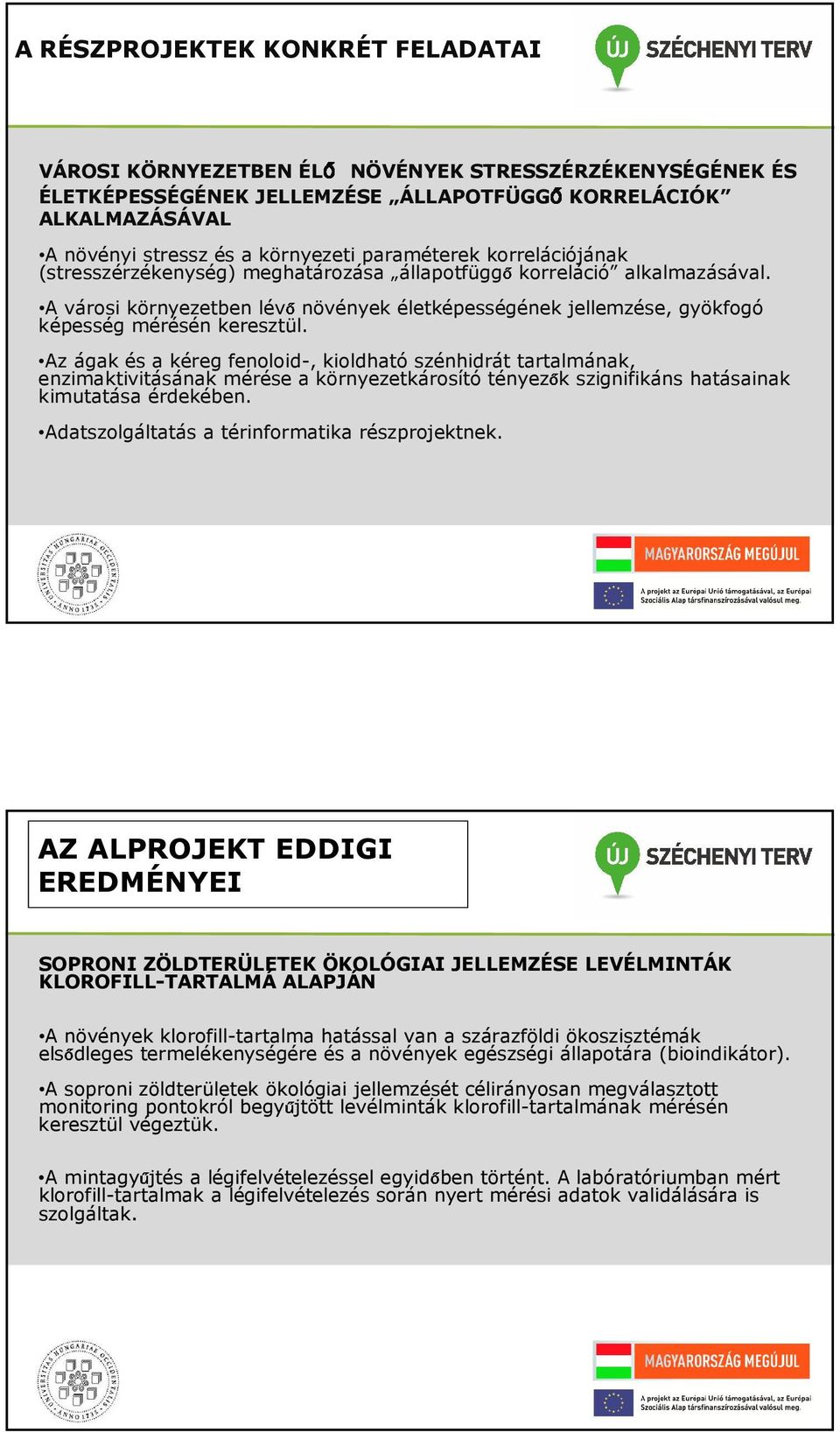 A városi környezetben lévőnövények életképességének jellemzése, gyökfogó képesség mérésén keresztül.