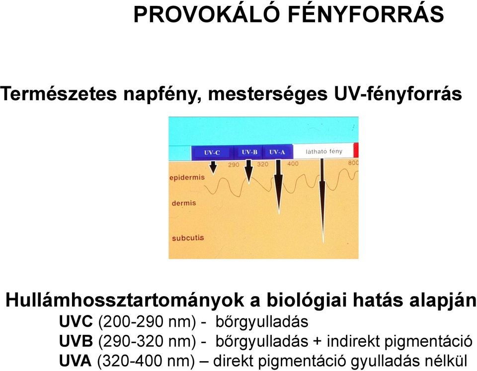UVC (200-290 nm) - bőrgyulladás UVB (290-320 nm) - bőrgyulladás