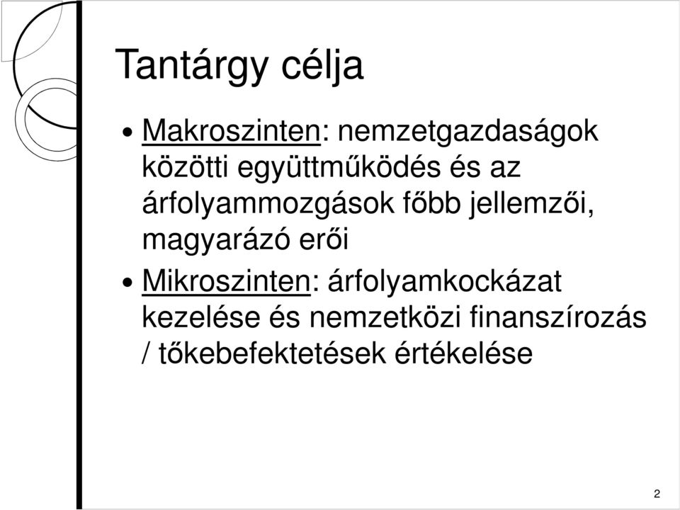 magyarázó erői Mikroszinten: árfolyamkockázat kezelése