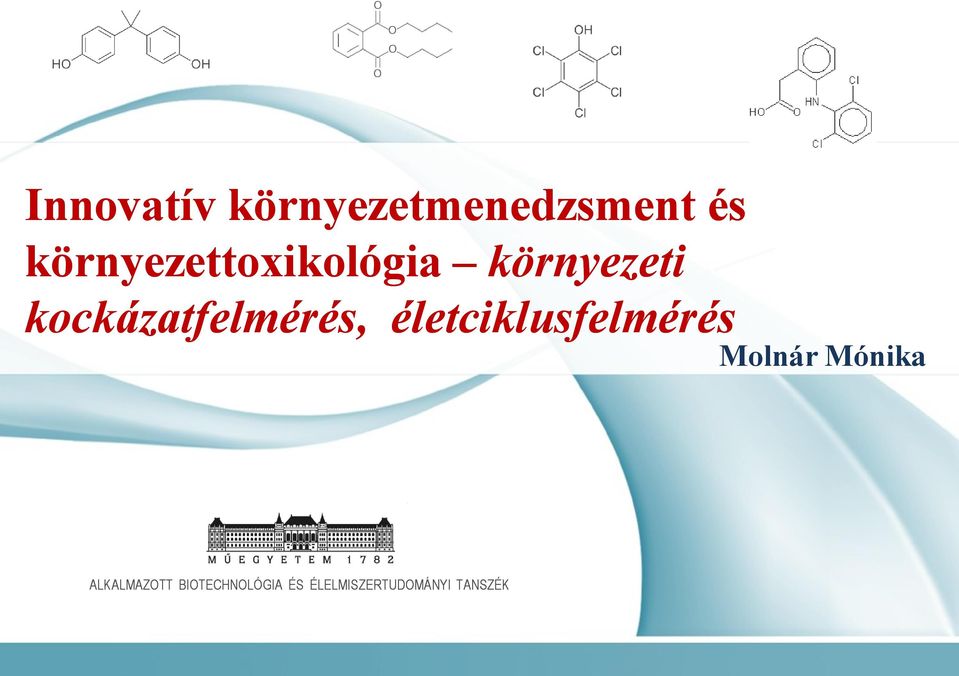 kockázatfelmérés, életciklusfelmérés Molnár